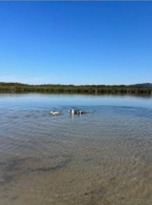 Illoura Reserve Dog Park
