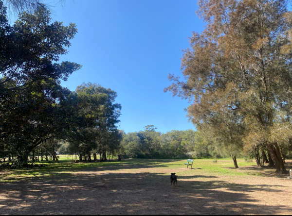Careel Bay Dog Park