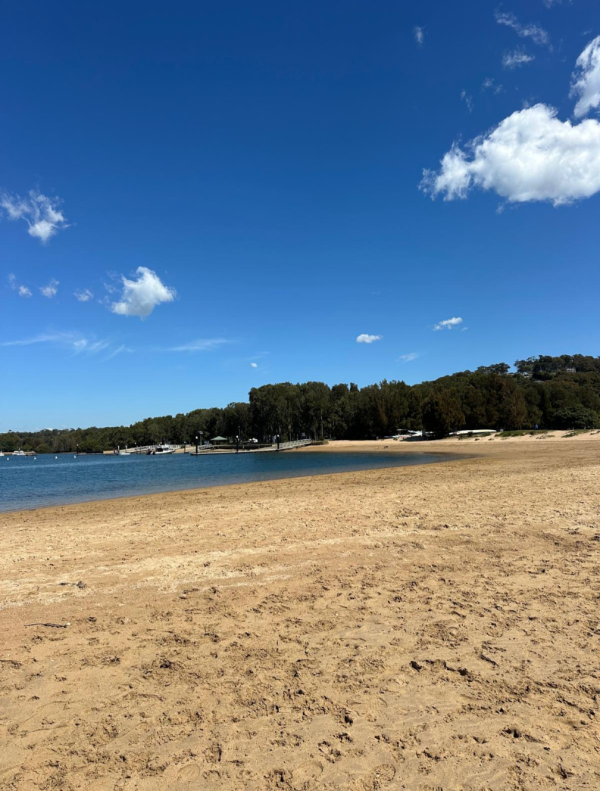 Bayview Dog Park