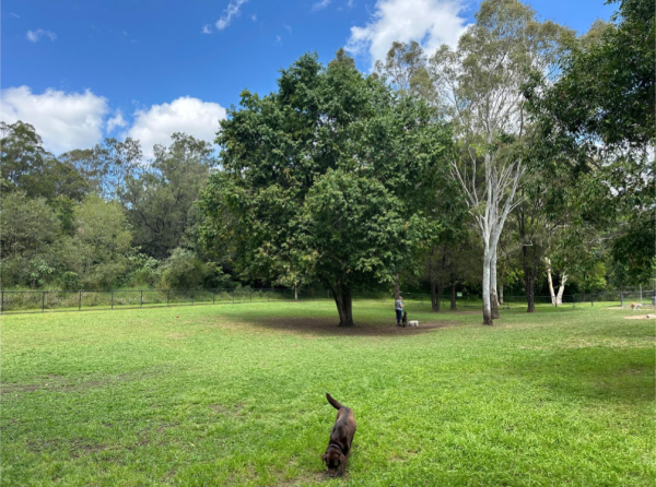 Blackbutt Dog Park