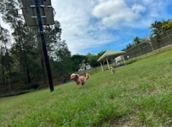 Merri Merri Dog Park