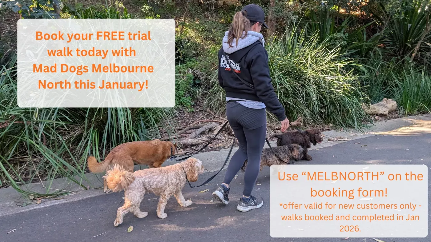 Melbourne North Promo