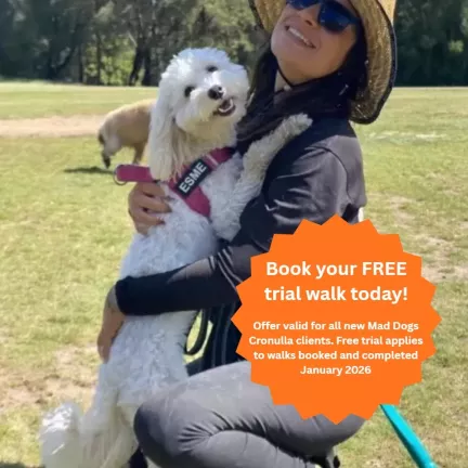 Dog walker with happy dog in Cronulla