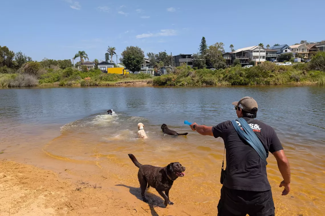 Beach adventure daycare
