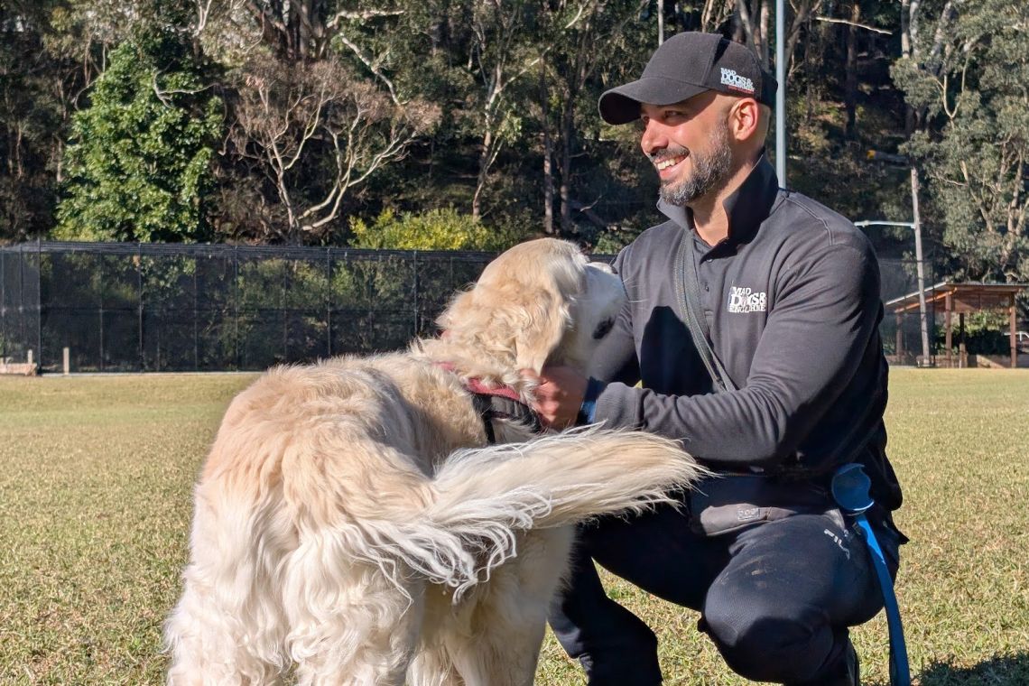 Mad Dogs franchisee stroking dog