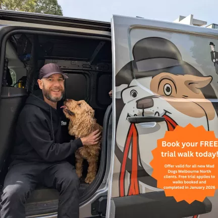 Best Melbourne North dog walker