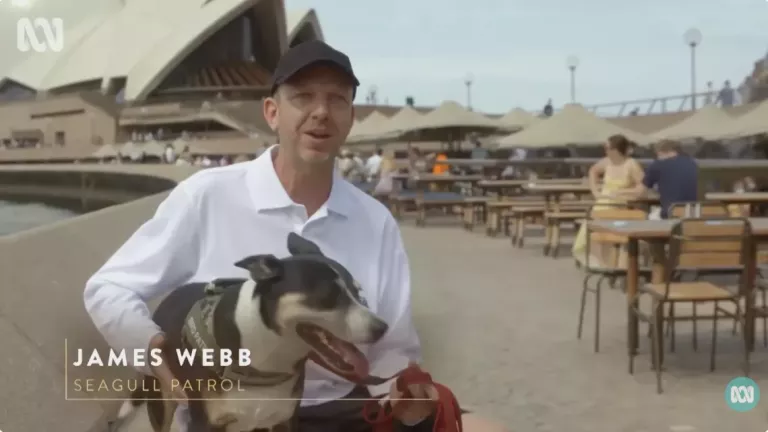 Inside the Opera House