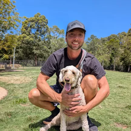 Your local Strathfield dog walker