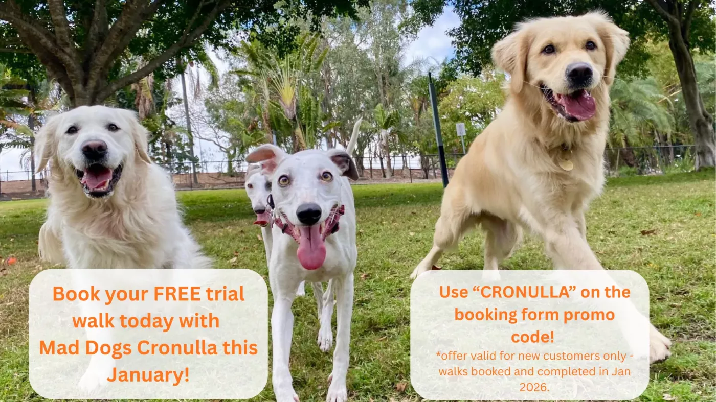 Free trial walk with Mad dogs Cronulla