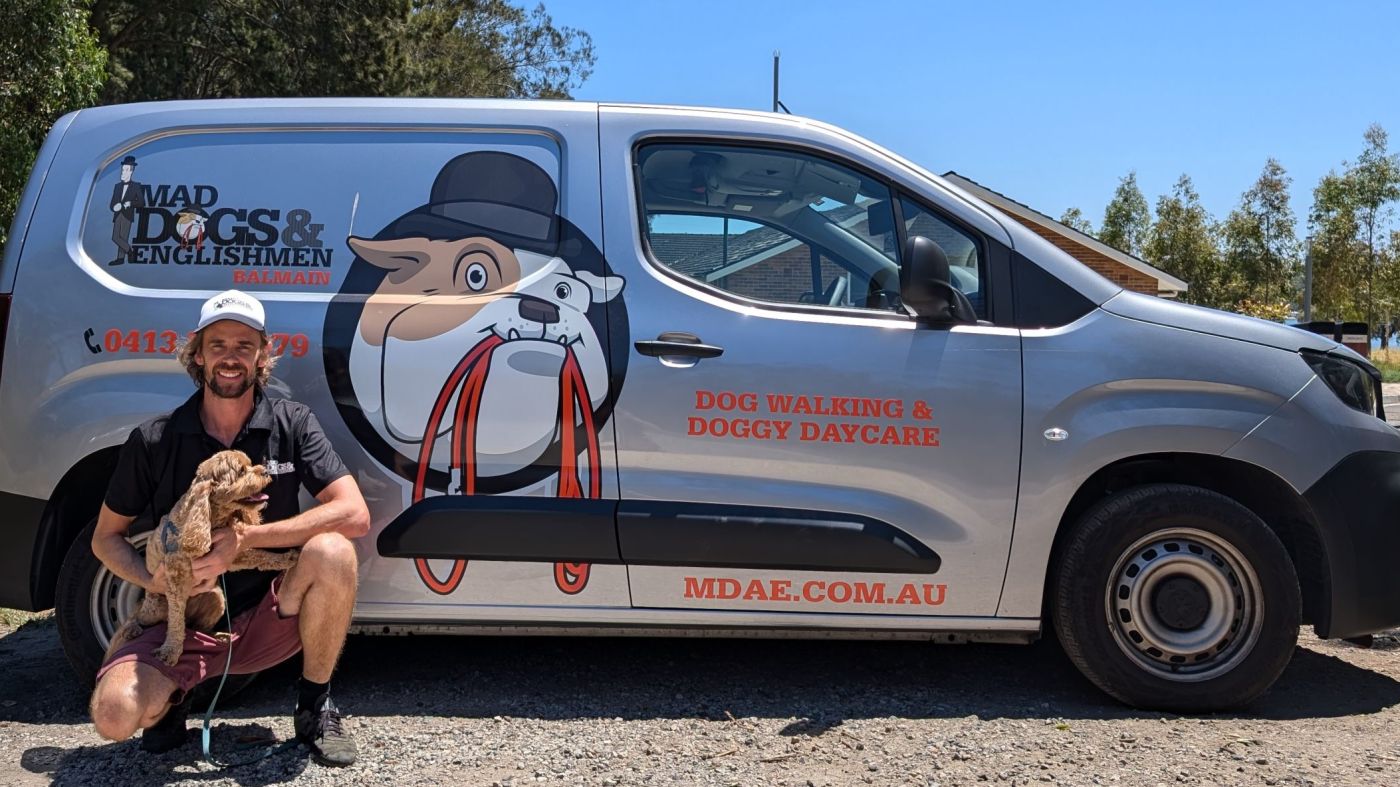 Local Brisbane Dog Walker