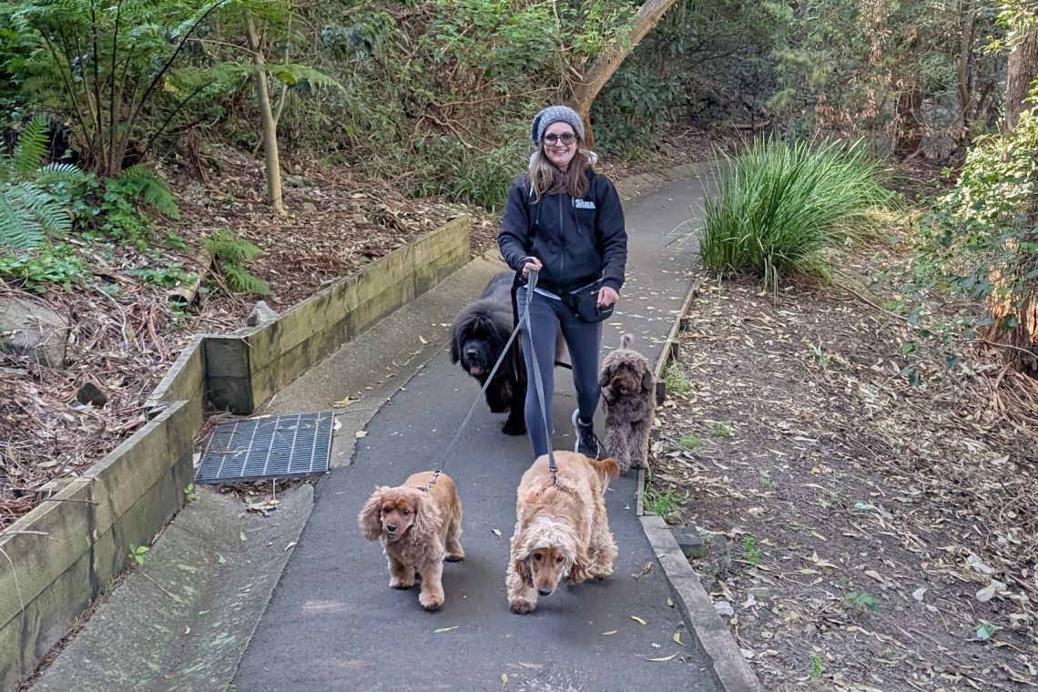 Walking four dogs on leash