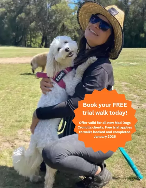 .Dog walker with happy dog in Cronulla